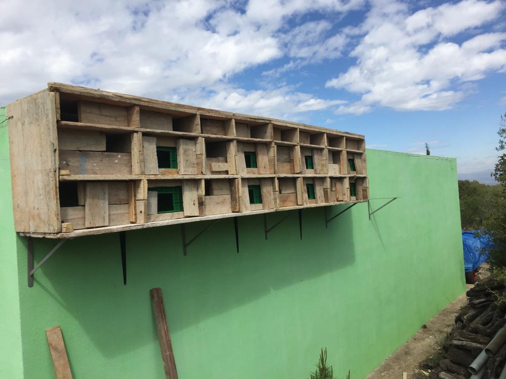  te koop perceel Vilafamés Plana Alta 37