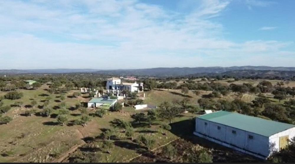 te koop boerderij Pozoblanco Pedroches (Los) 2