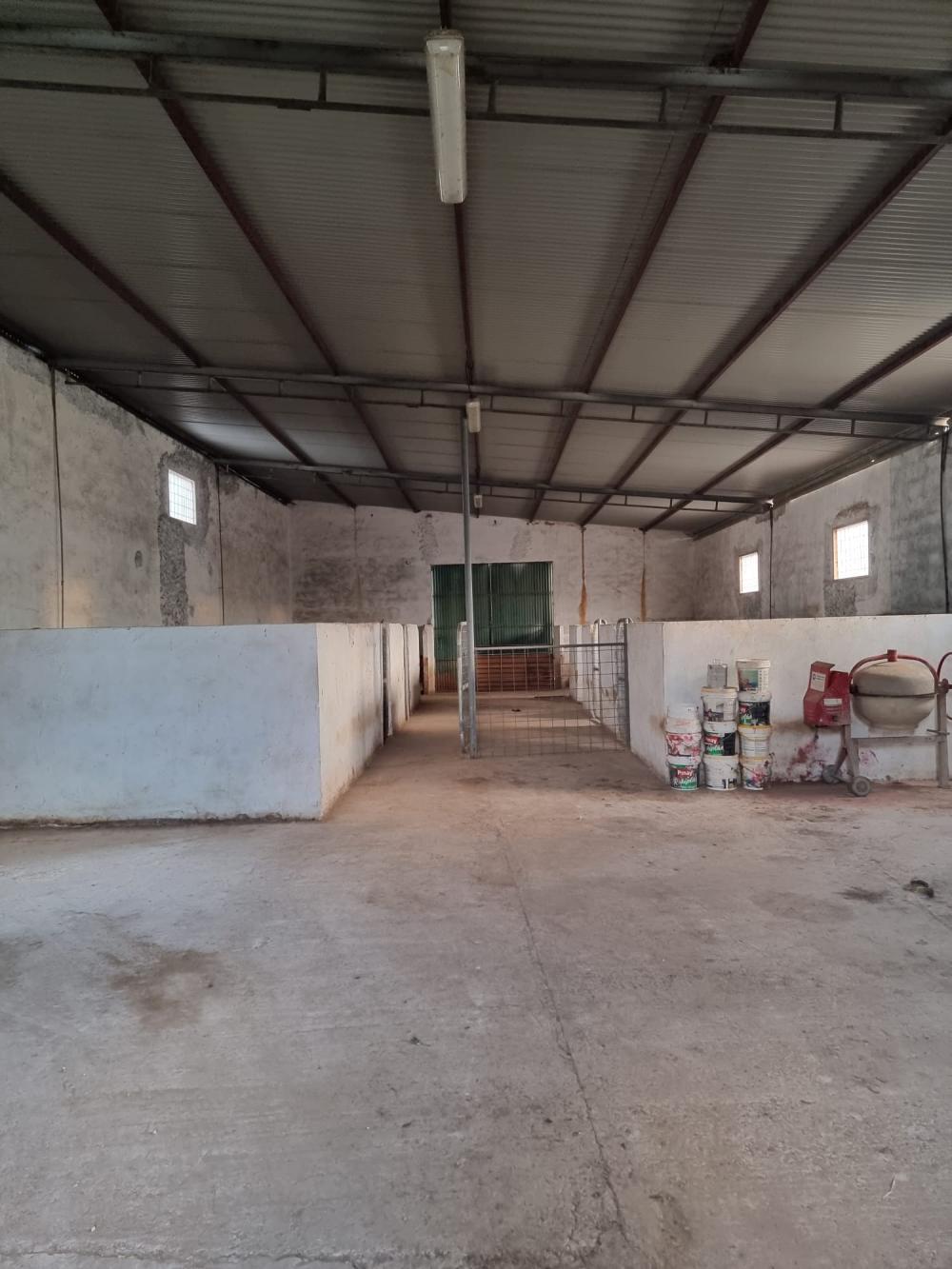  te koop boerderij Pozoblanco Pedroches (Los) 19