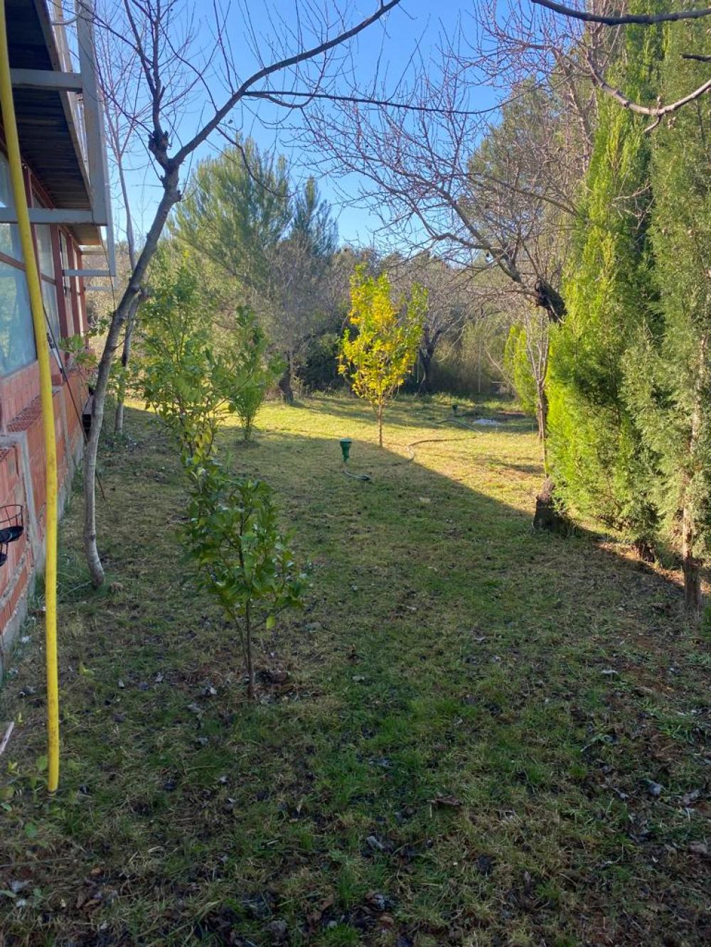  te koop perceel Vilafamés Plana Alta 49