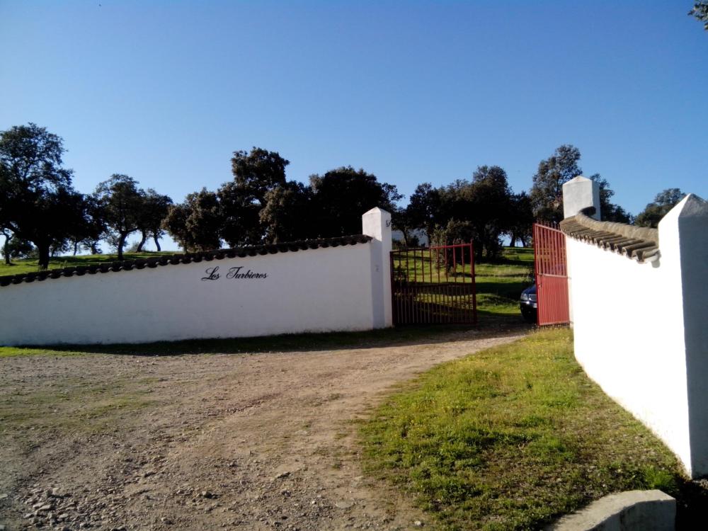  te koop boerderij Pozoblanco Pedroches (Los) 4