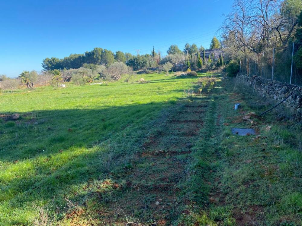  te koop perceel Vilafamés Plana Alta 46