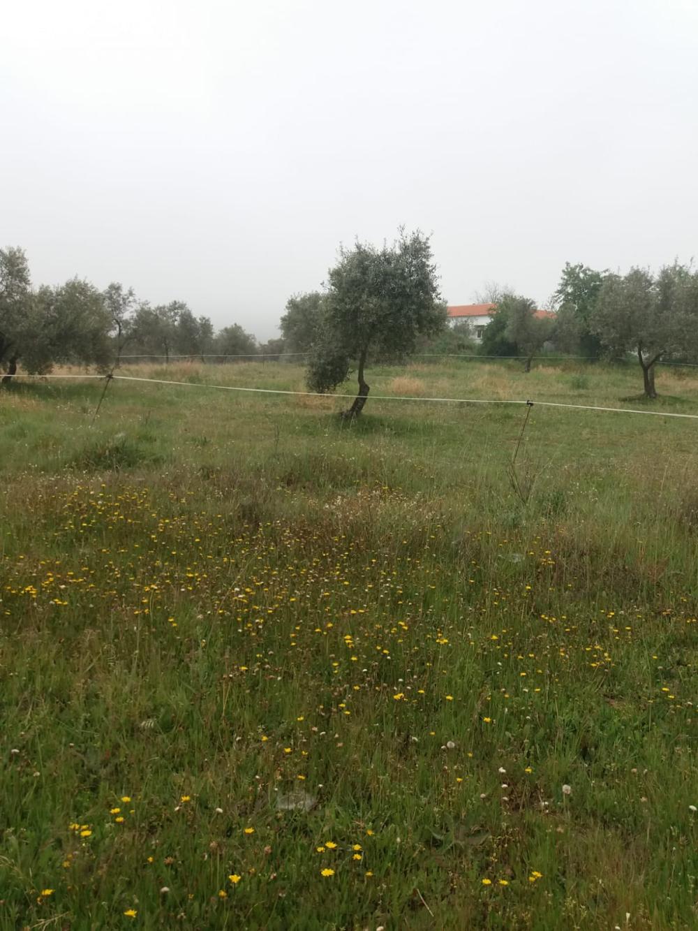  te koop boerderij Espiel Valle Del Guadiato 3