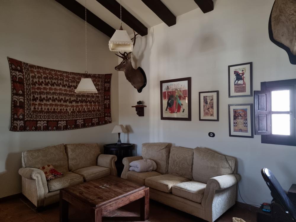  te koop boerderij Pozoblanco Pedroches (Los) 8
