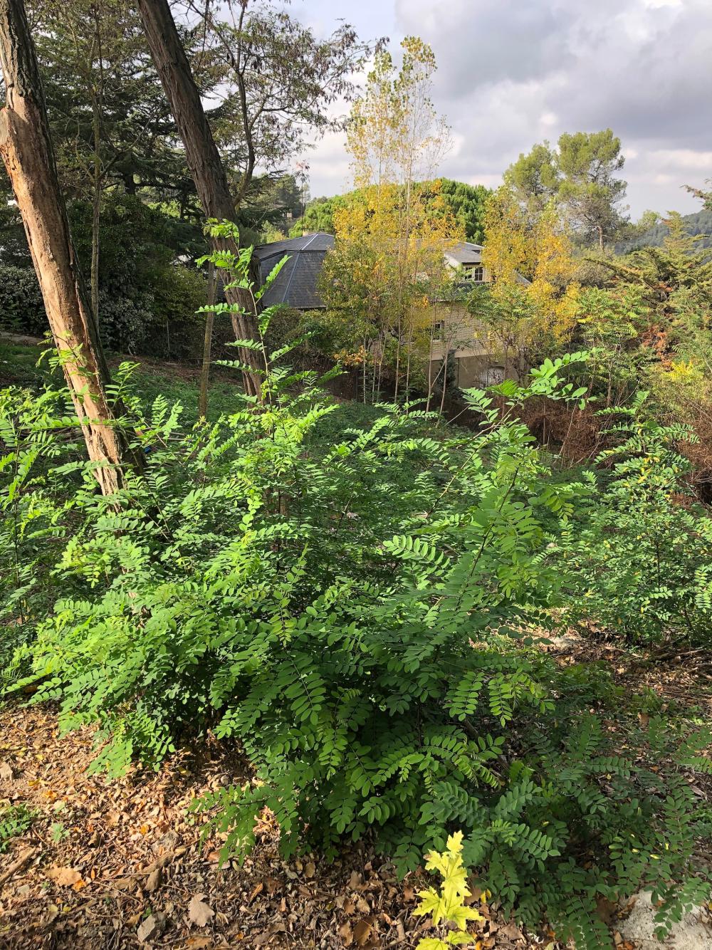  te koop perceel Les Planes Vallès Occidental 4