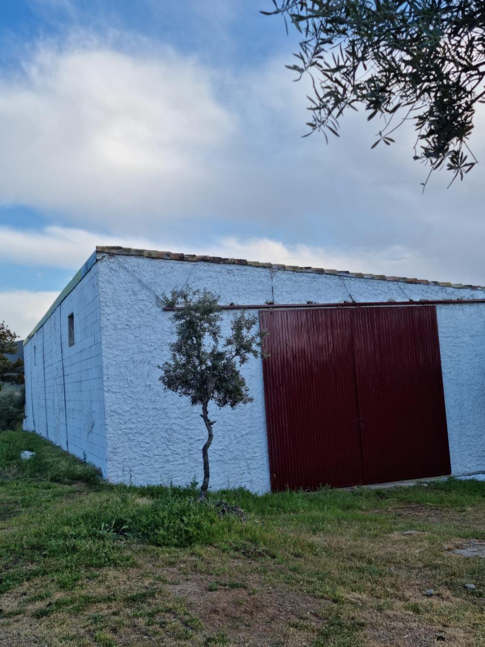  te koop boerderij Pozoblanco Pedroches (Los) 18