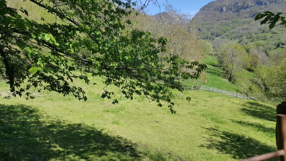  te koop boerderij Bezanes Nalón 13