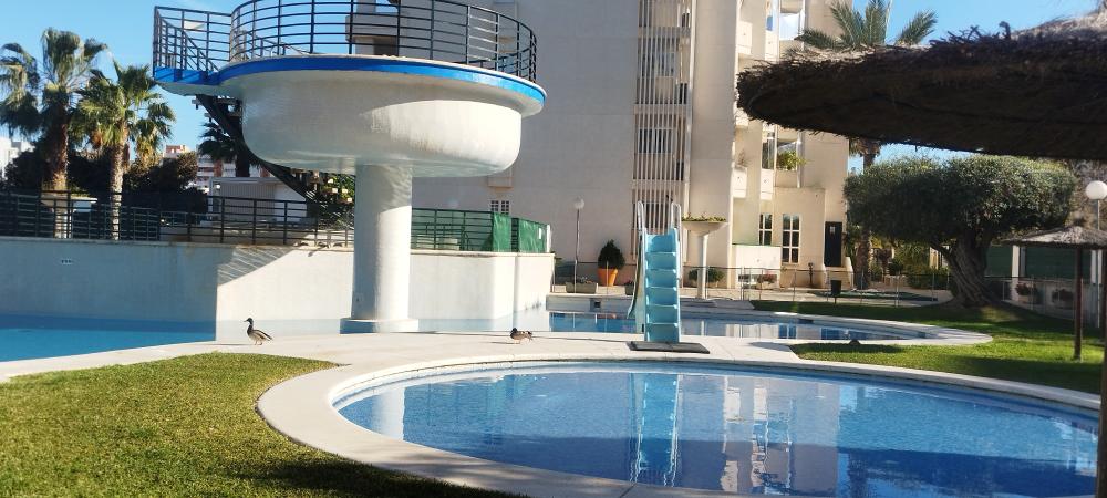  te koop appartement Playa De San Juan Alacantí 6