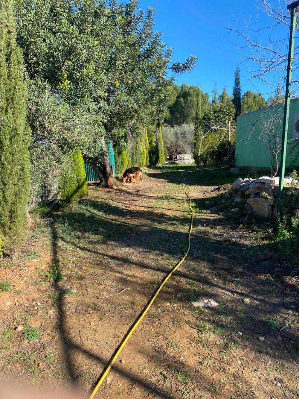  te koop perceel Vilafamés Plana Alta 15