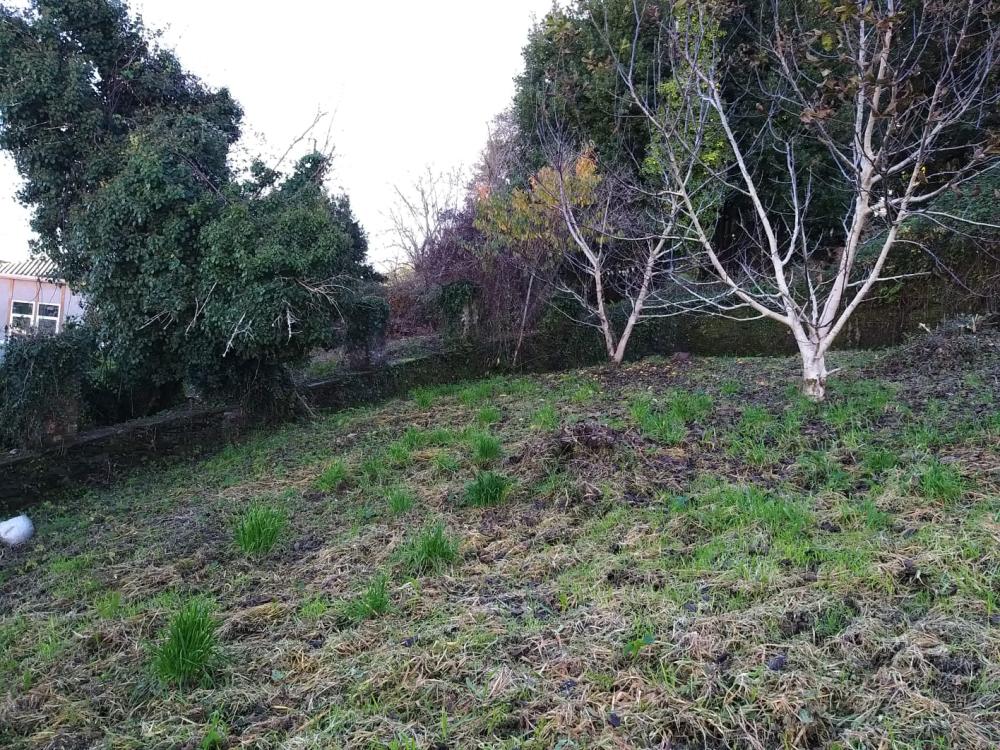  te koop huis Pontedeume Eume 6