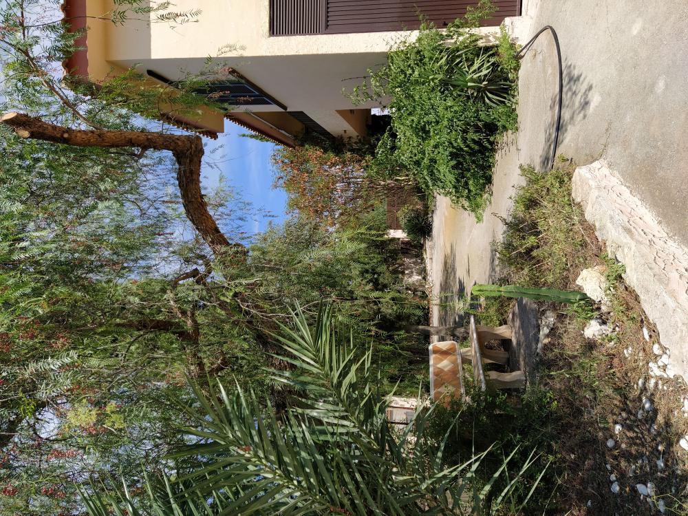  te koop villa Toscas-Chorrico Vega Media Del Segura 20