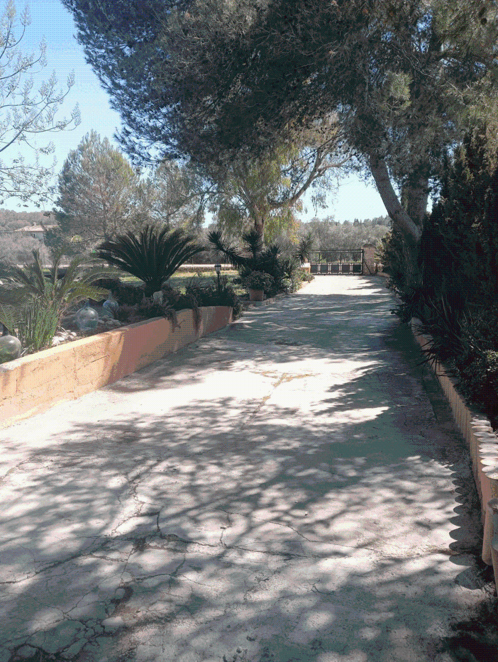  te koop villa Biniali Pla (Es) 4