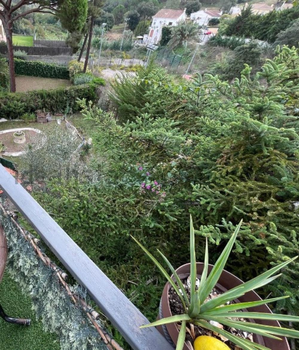  te koop villa Condado De Jaruco Selva 9