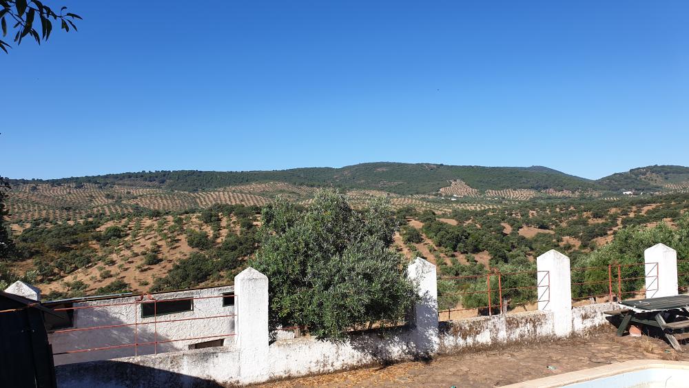  te koop boerderij Pozoblanco Pedroches (Los) 6