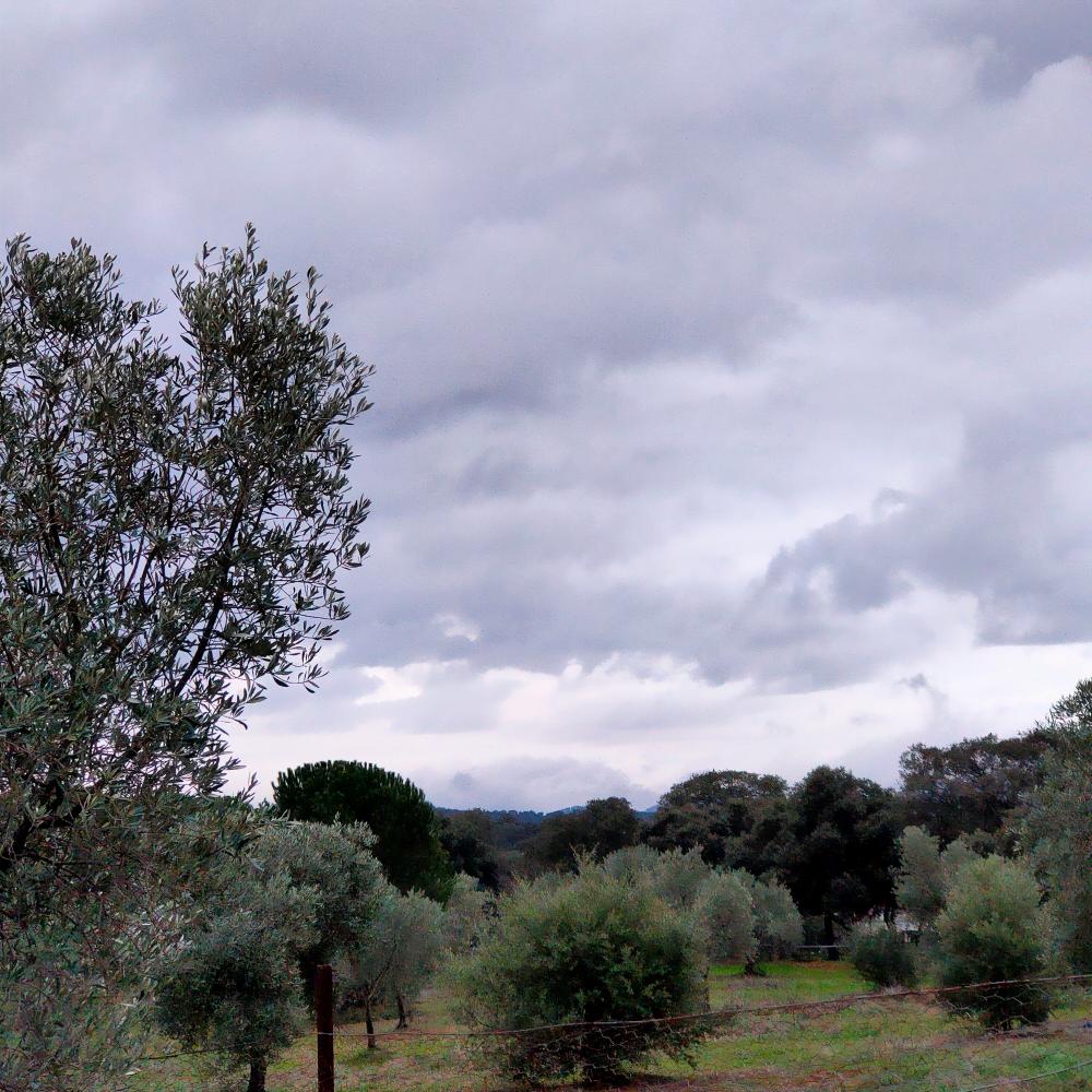  te koop boerderij Espiel Valle Del Guadiato 18