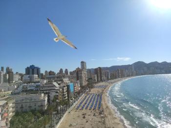 Benidorm (Centro) Marina Baixa appartement foto 5413630
