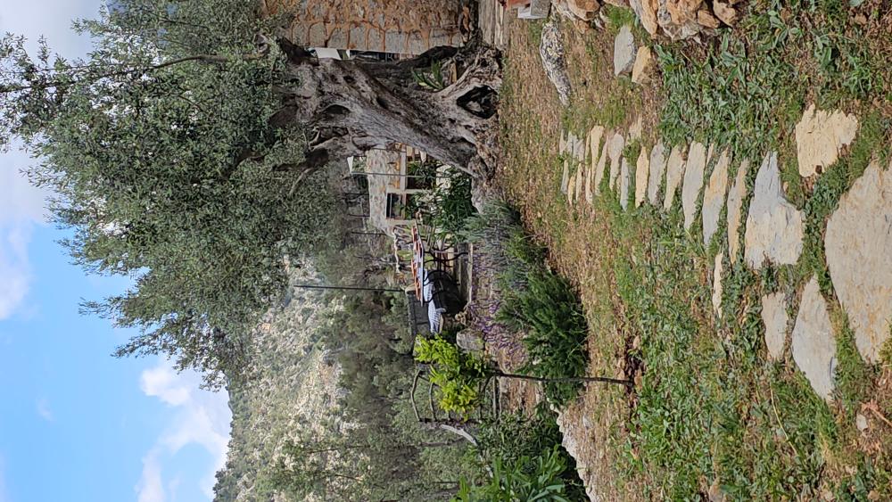  te koop boerderij Fornalutx Tramuntana 17