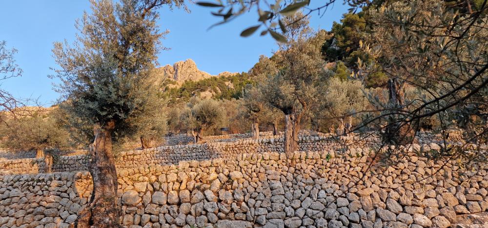  te koop boerderij Fornalutx Tramuntana 8