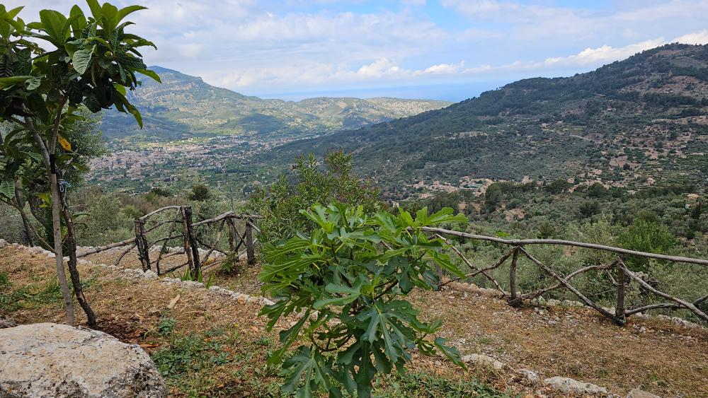  te koop boerderij Fornalutx Tramuntana 15