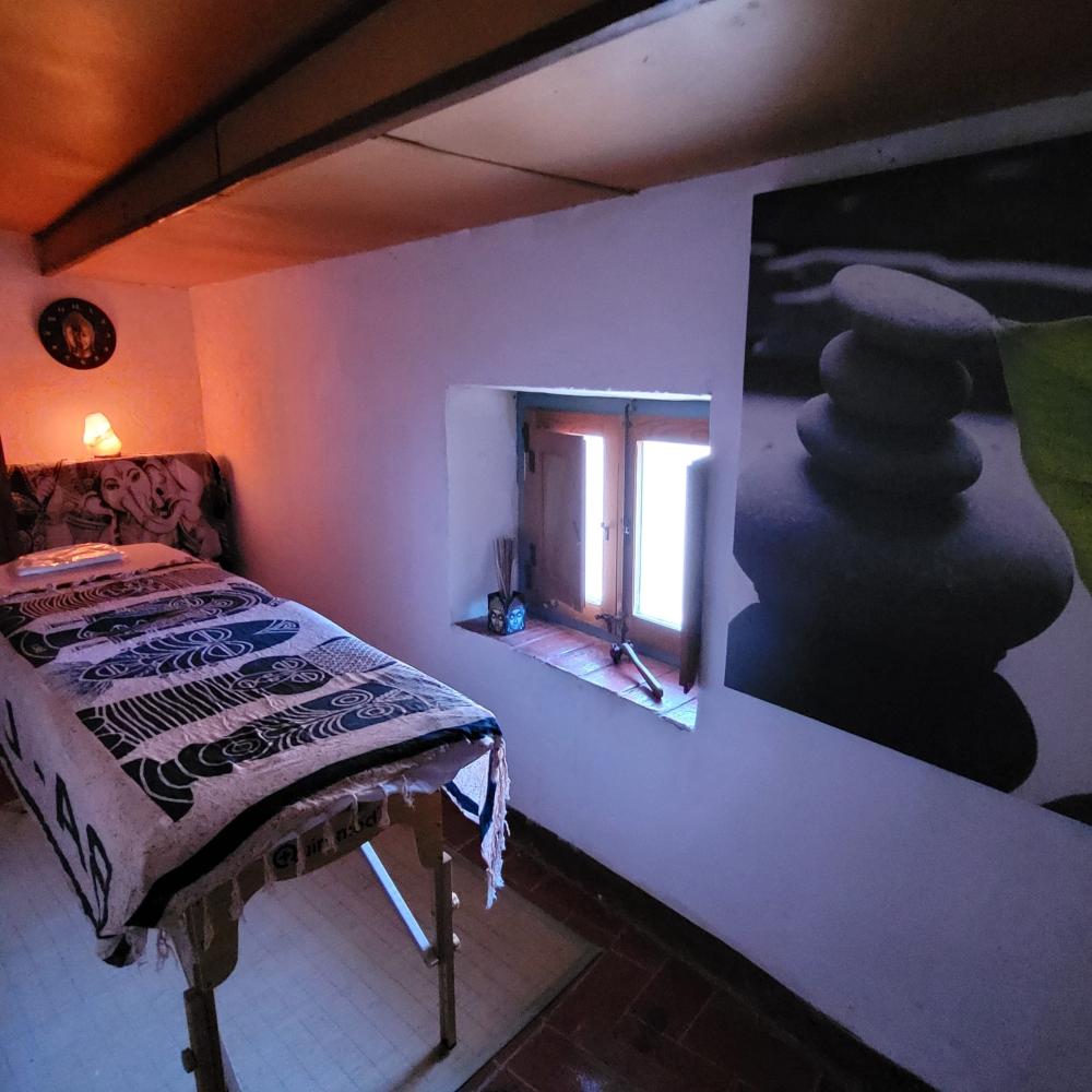  te koop huis L'albi Garrigues 2