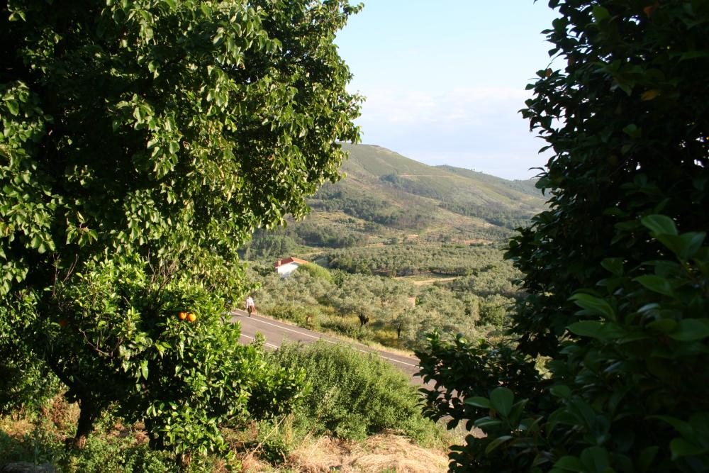  te koop rijtjeshuis Gata Sierra De Gata 8