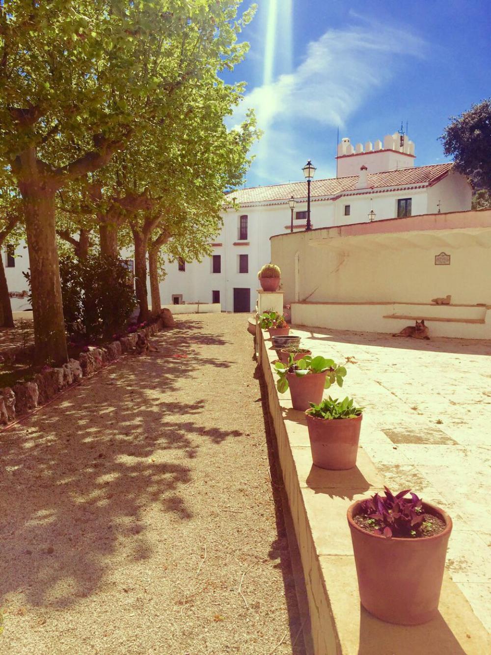  te koop villa Almoster Baix Camp 70