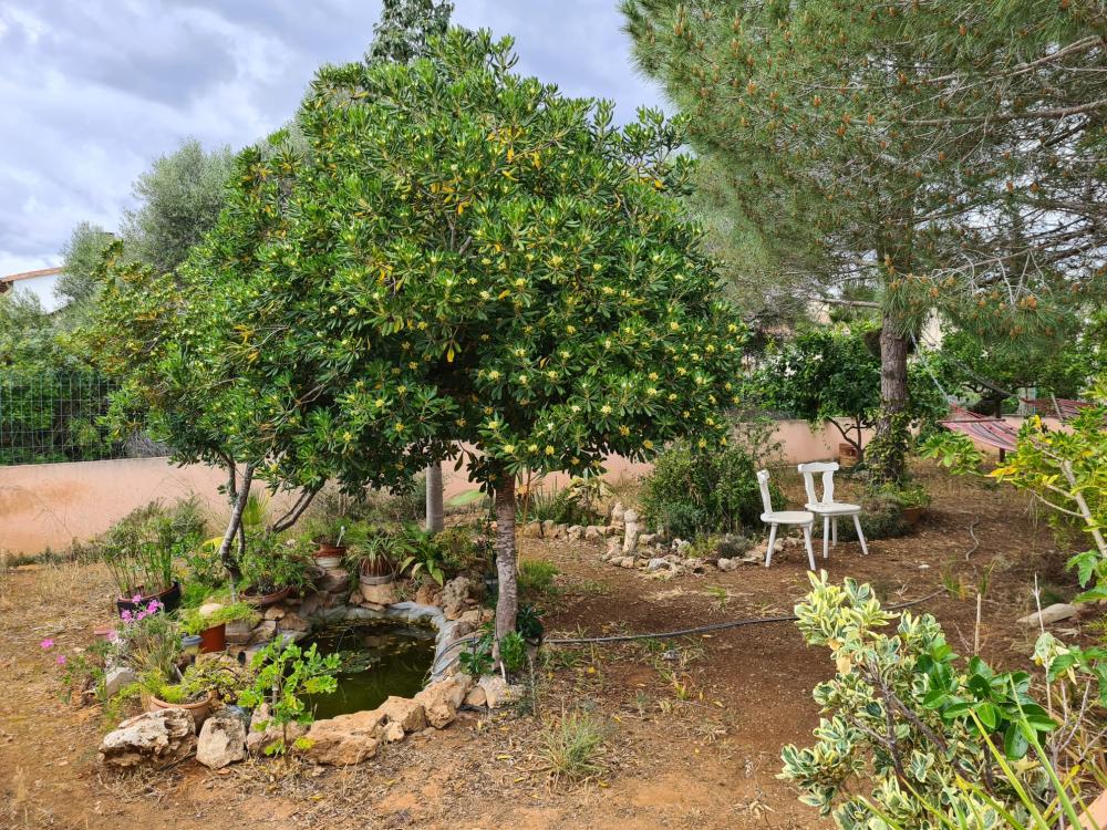  te koop villa Sa Ràpita Sud 16