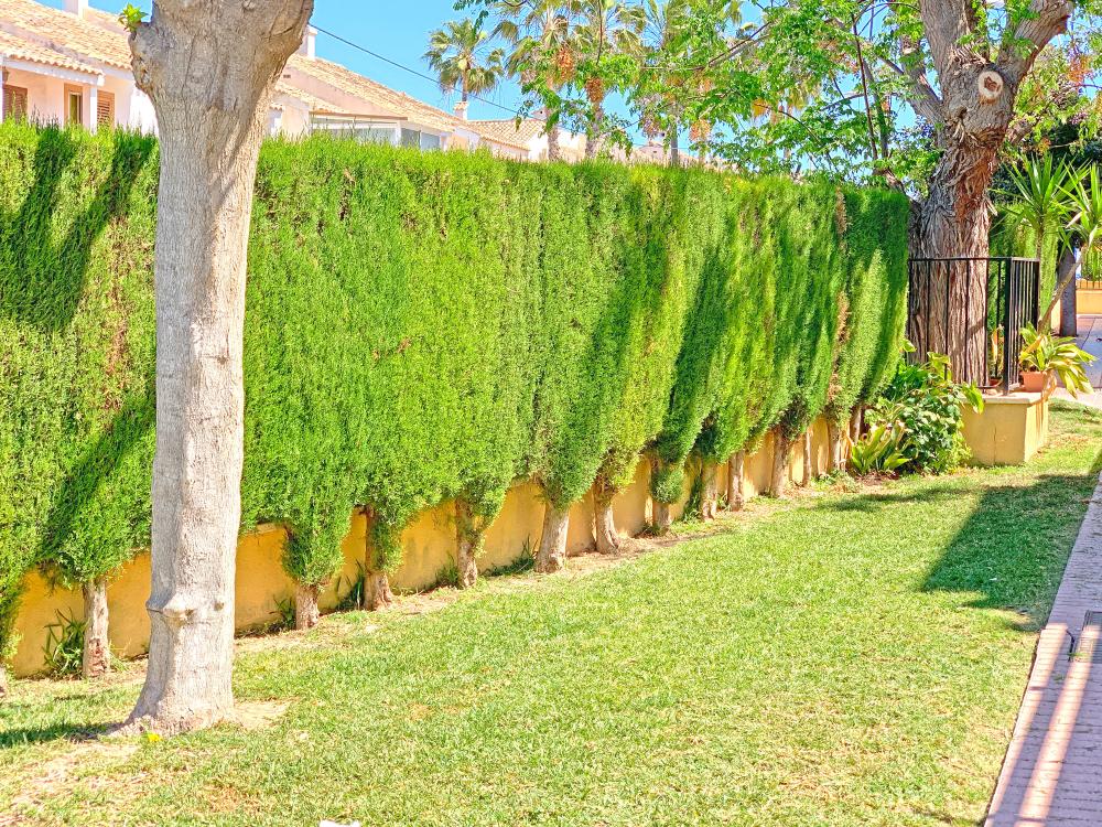  te koop twee-onder-een-kapwoning Gran Alacant Baix Vinalopó 35