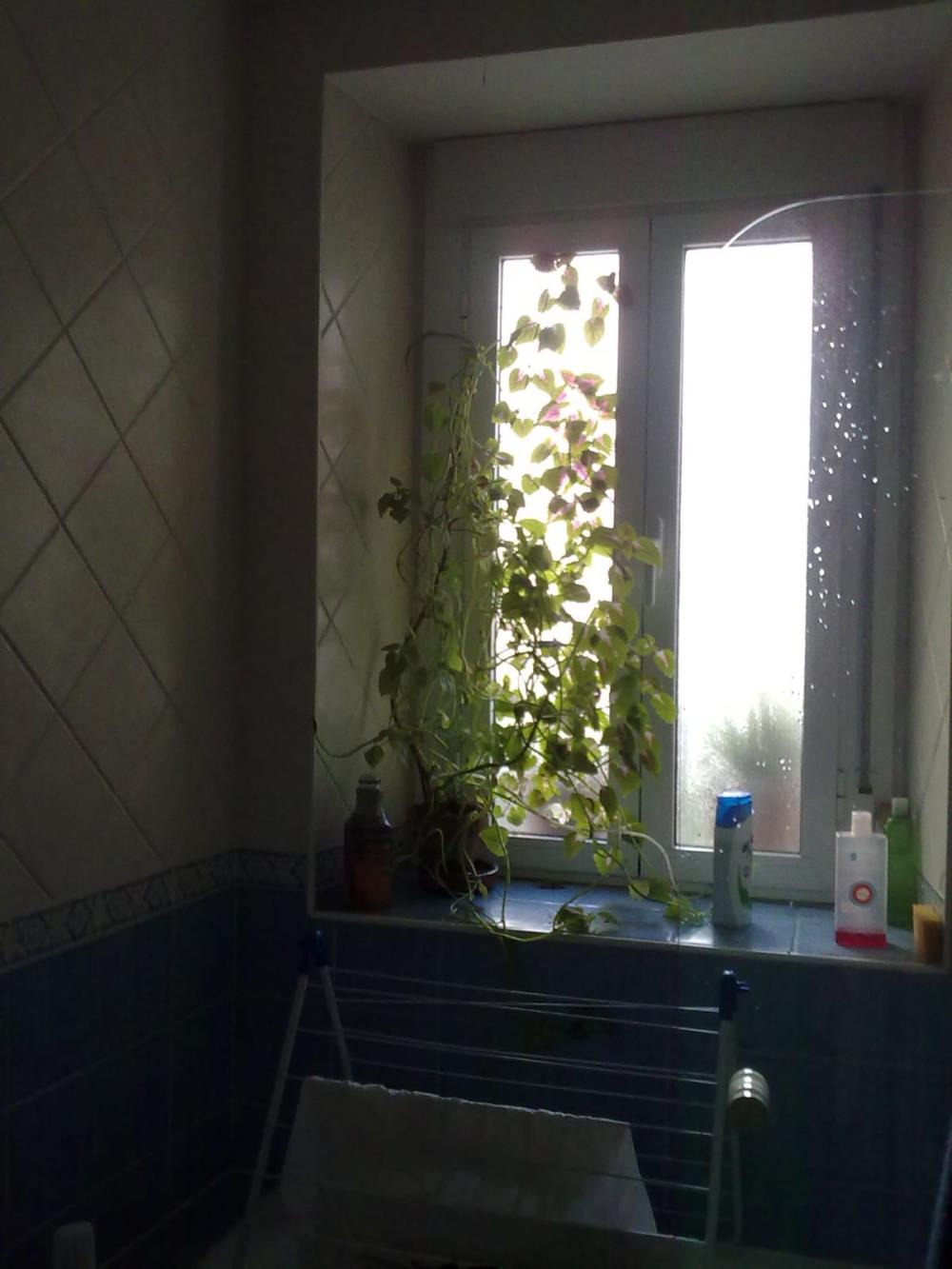  te koop appartement Trujillo Trujillo 14