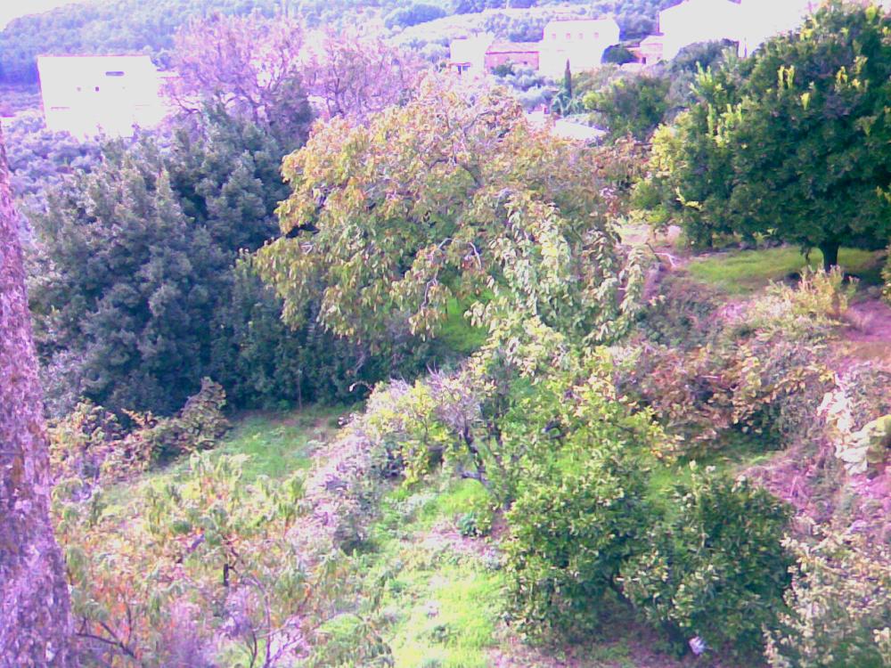  te koop rijtjeshuis Gata Sierra De Gata 6