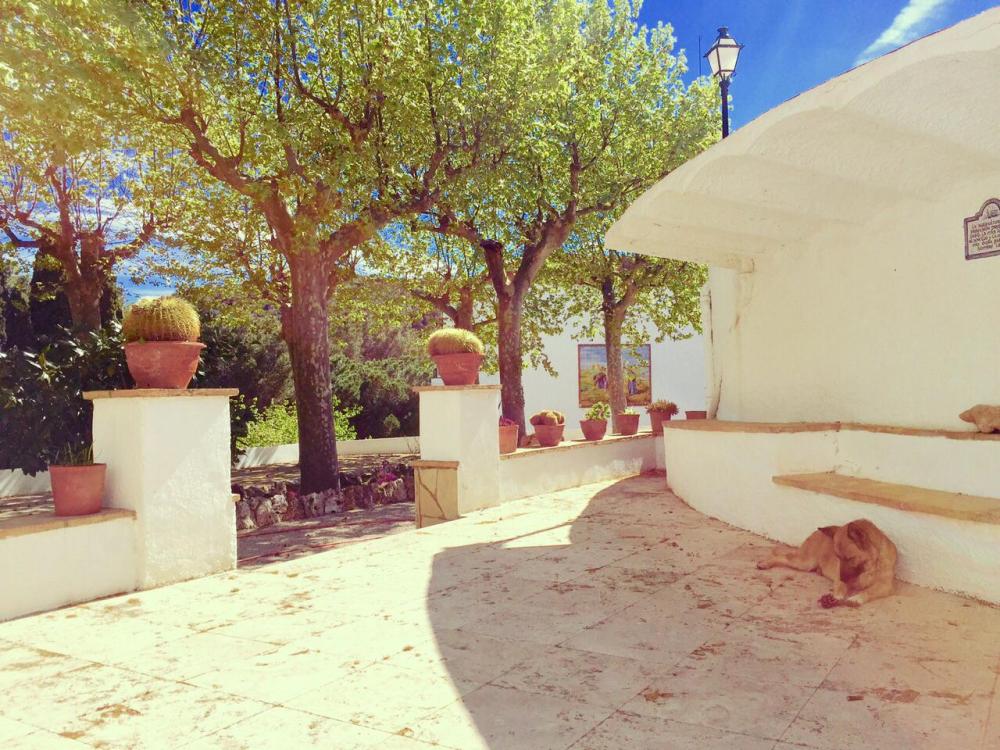  te koop villa Almoster Baix Camp 78