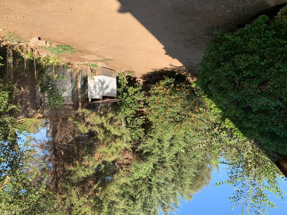  te koop huis Barrio De Panchito Ramos Tuineje 14