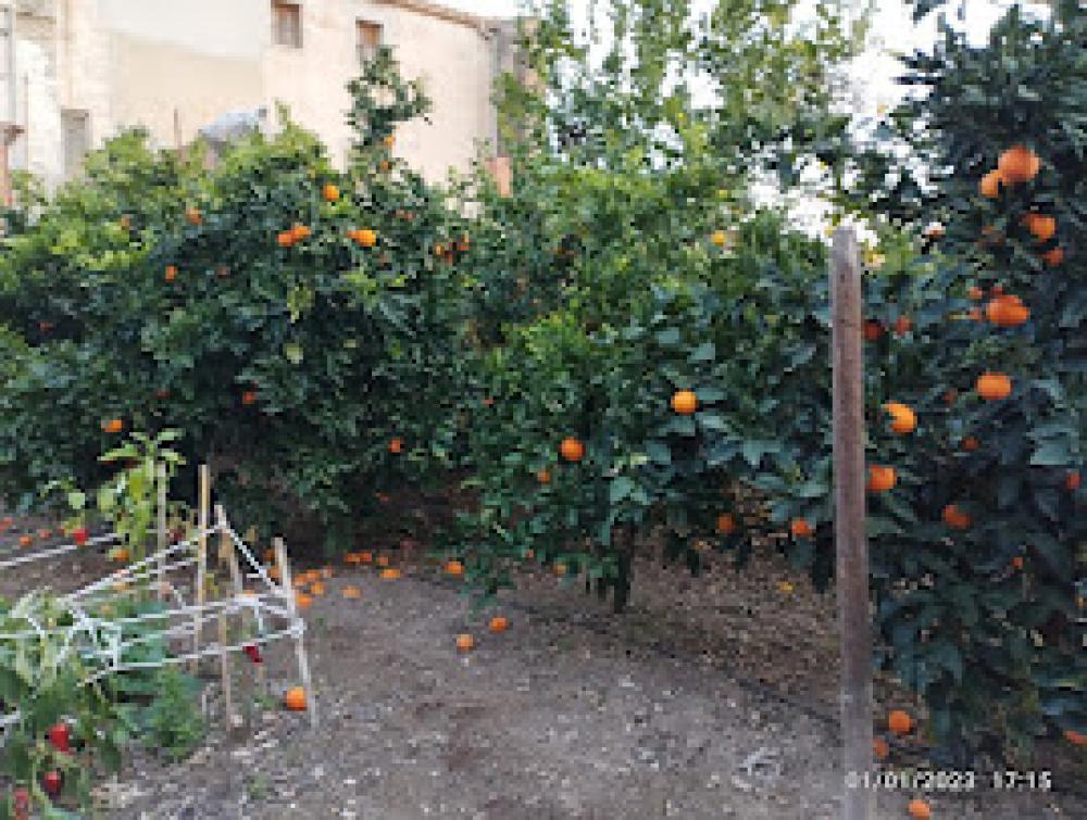  te koop huis Sant Quinti De Mediona Alt Penedès 6