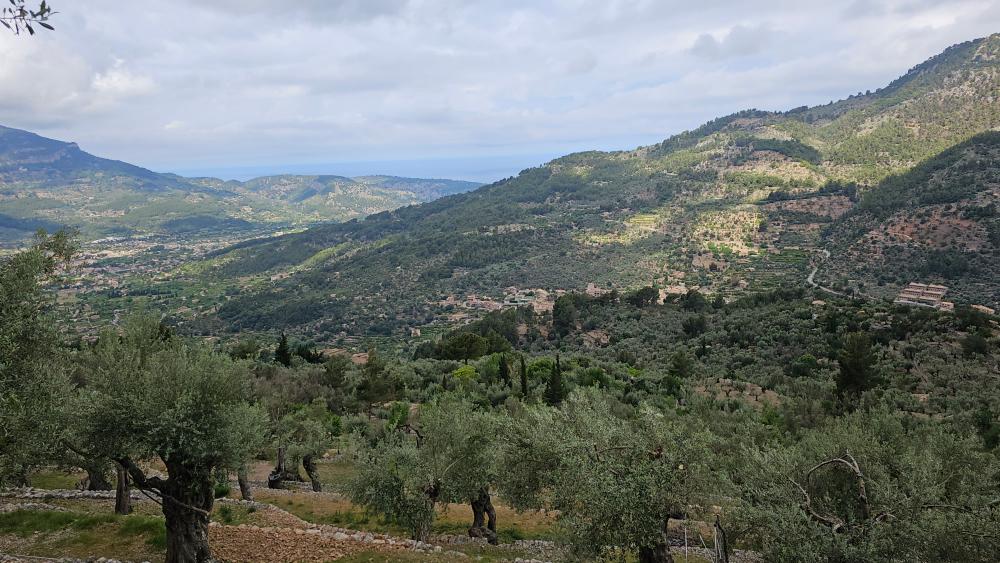  te koop boerderij Fornalutx Tramuntana 25