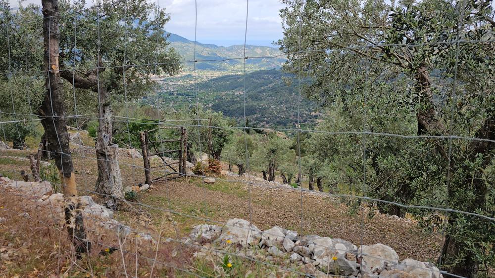  te koop boerderij Fornalutx Tramuntana 23