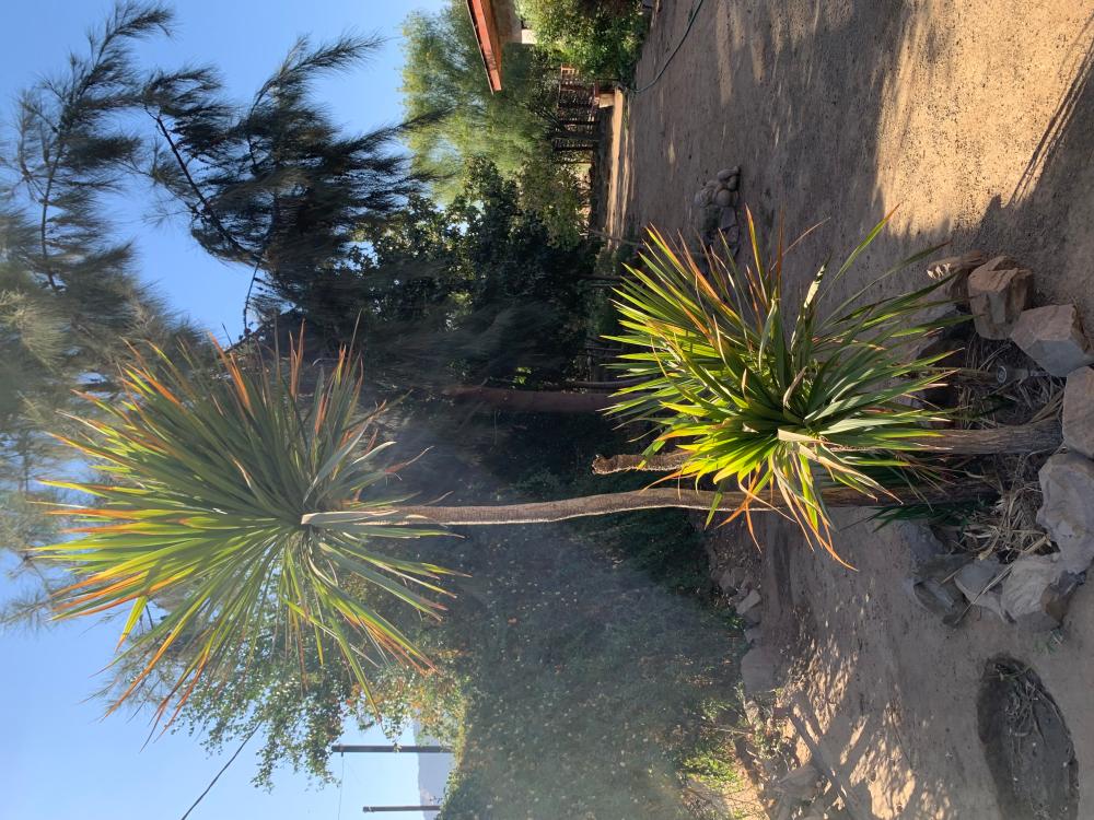  te koop huis Barrio De Panchito Ramos Tuineje 15