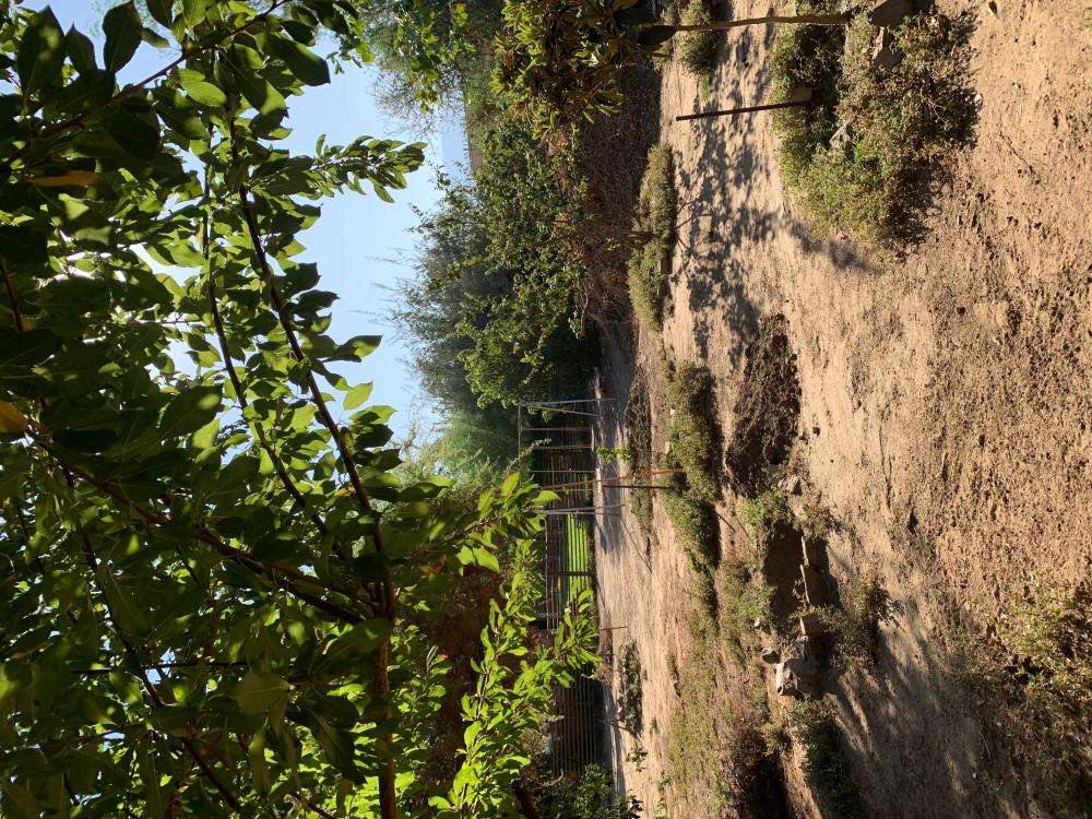  te koop huis Barrio De Panchito Ramos Tuineje 12