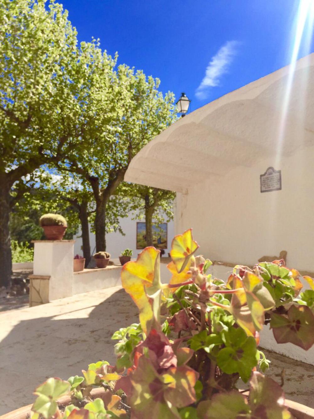  te koop villa Almoster Baix Camp 80