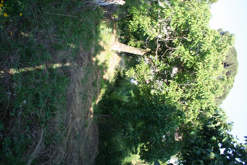  te koop rijtjeshuis Gata Sierra De Gata 7