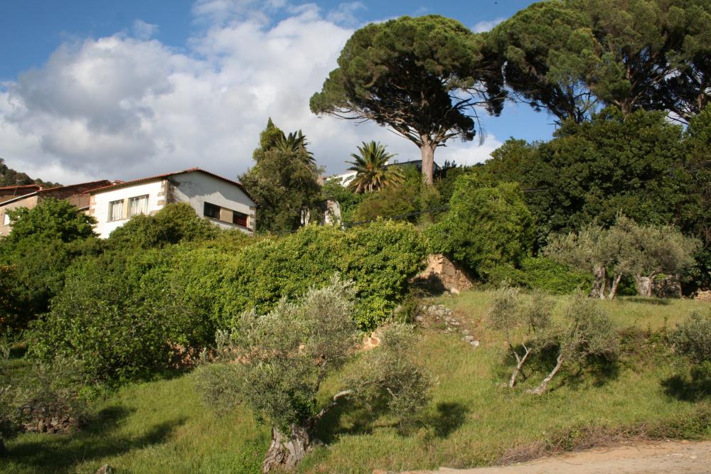  te koop rijtjeshuis Gata Sierra De Gata 4