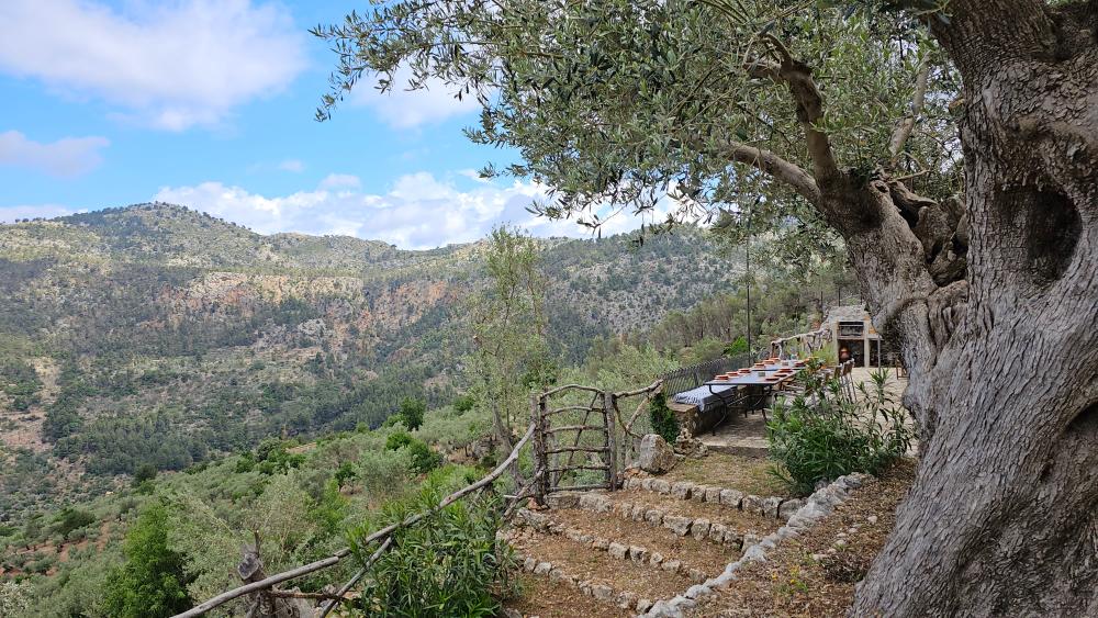  te koop boerderij Fornalutx Tramuntana 14