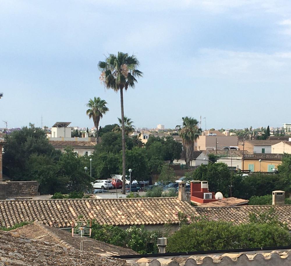  te koop appartement Son Sardina-Sa Garriga-Son Llompart Palma 16