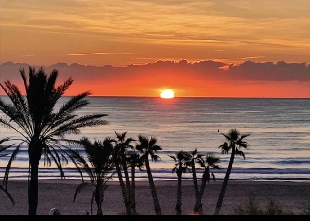  te koop appartement Canet D'en Berenguer Camp De Morvedre 25