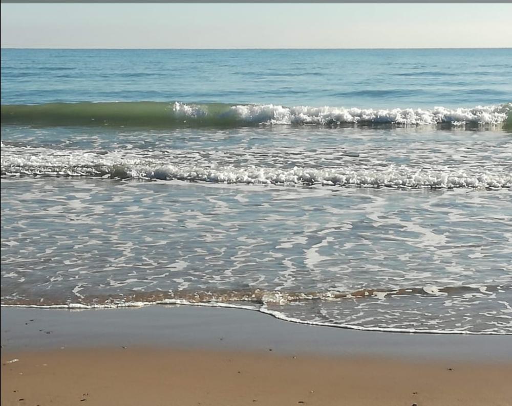  te koop appartement Canet D'en Berenguer Camp De Morvedre 16