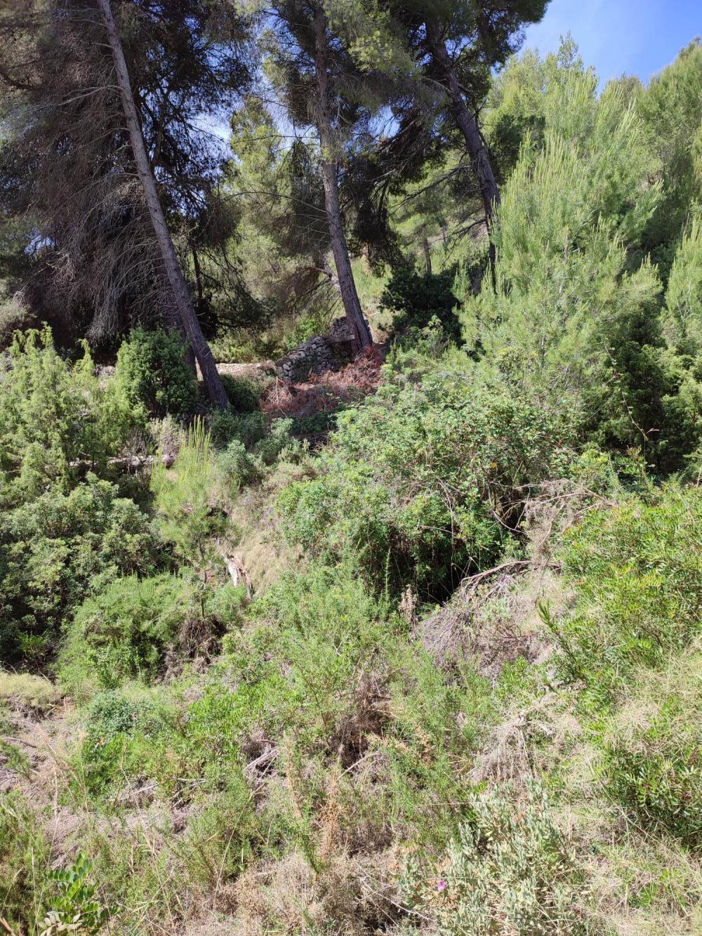  te koop perceel Sant Carles De Peralta Santa Eulària Des Riu 5