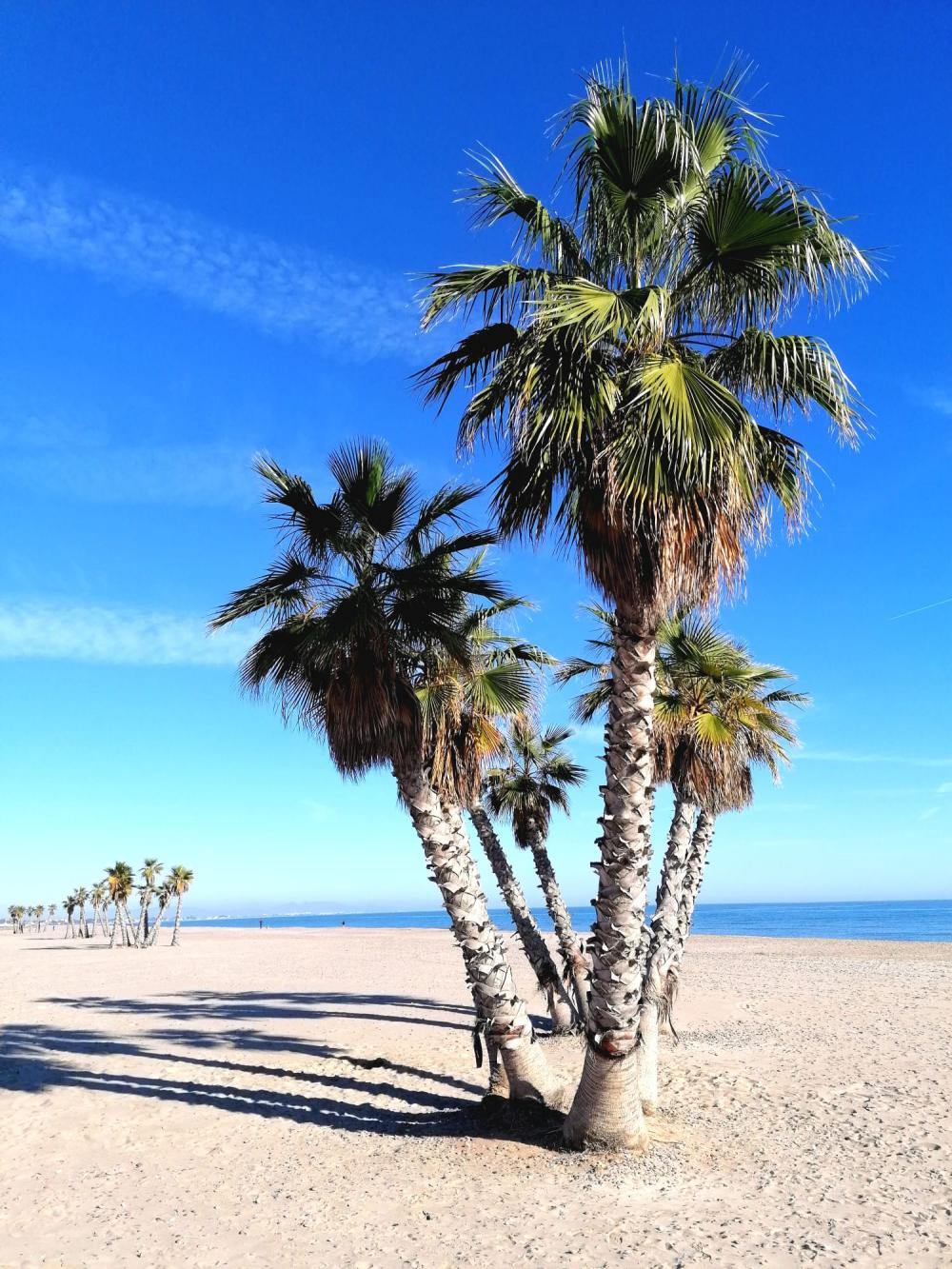  te koop appartement Canet D'en Berenguer Camp De Morvedre 18