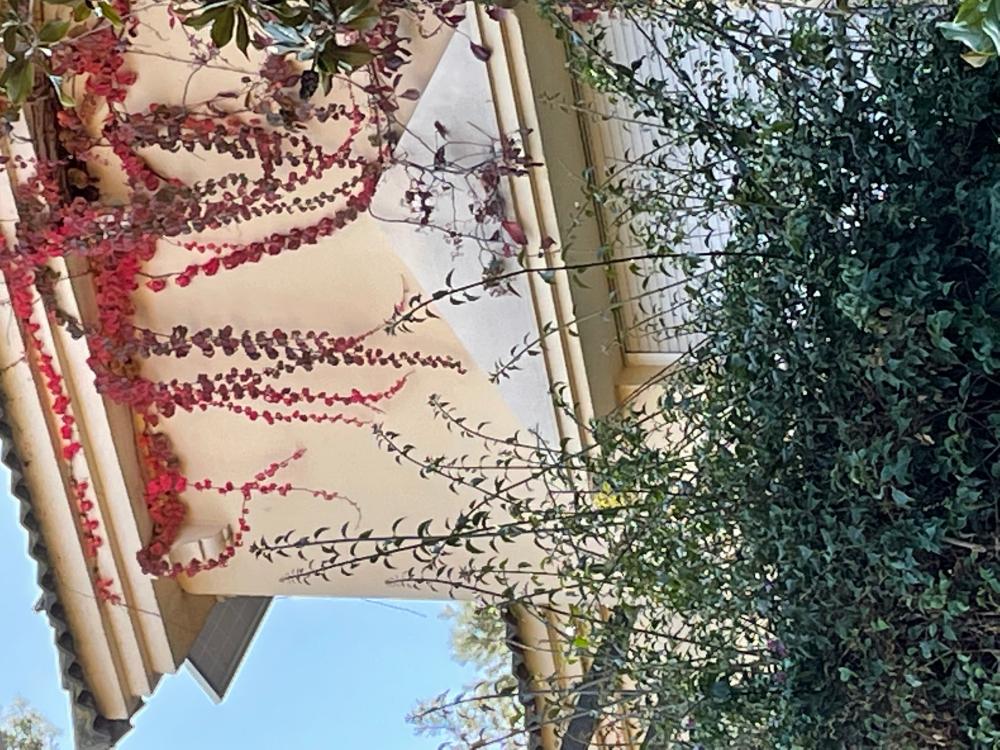  te koop villa San Pablo-Santa Justa Metropolitana De Sevilla 26