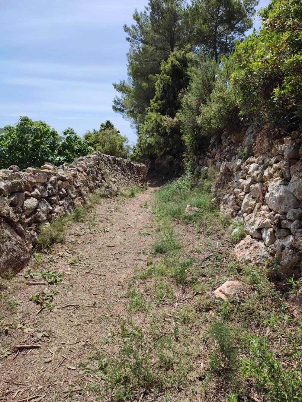  te koop perceel Sant Carles De Peralta Santa Eulària Des Riu 3