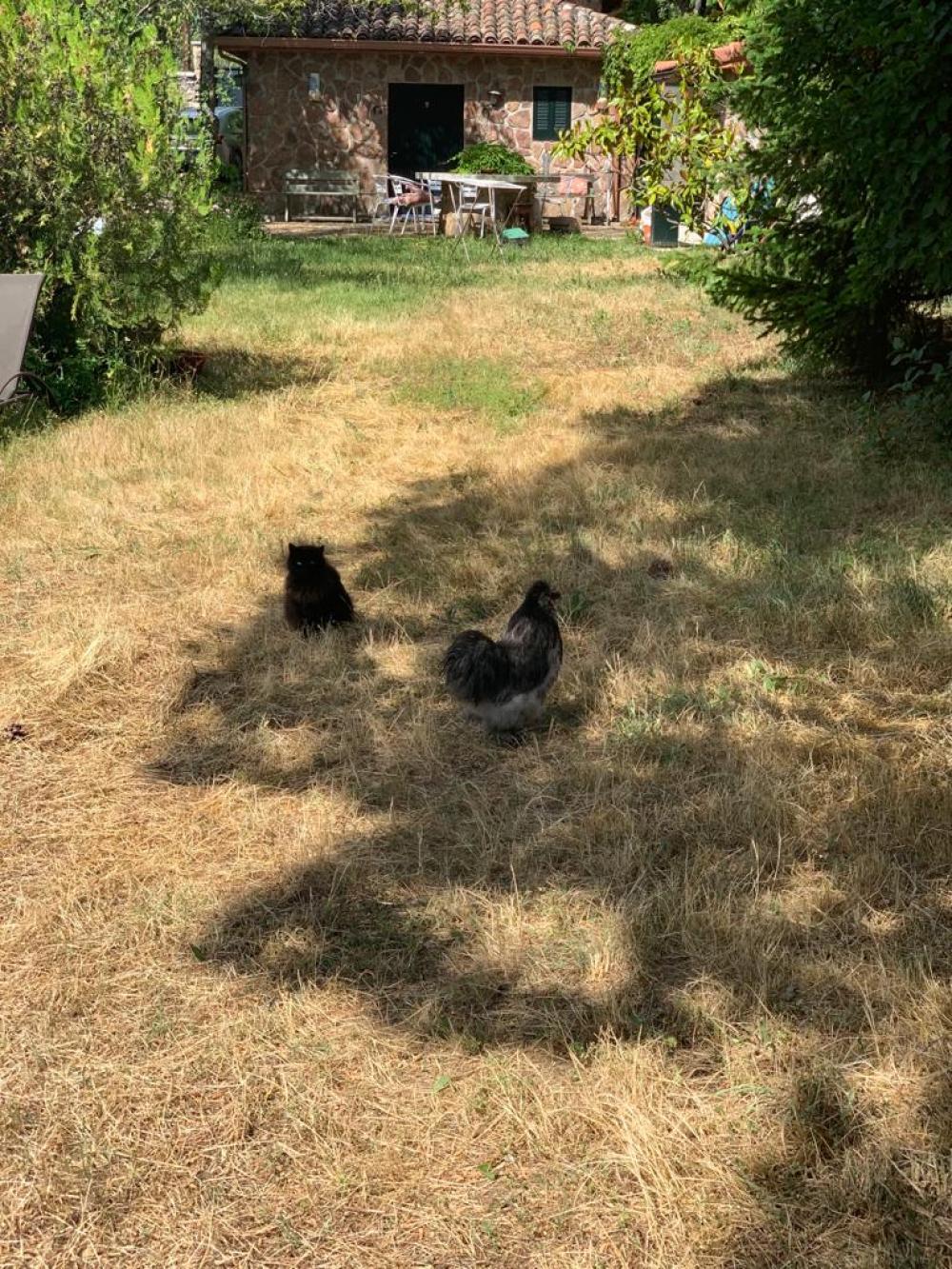  te koop boerderij Miraflores De La Sierra Cuenca Alta Del Manzanares 8