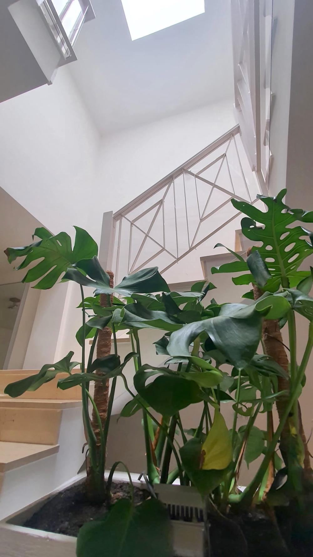  te koop villa L'almaixada Alacantí 6